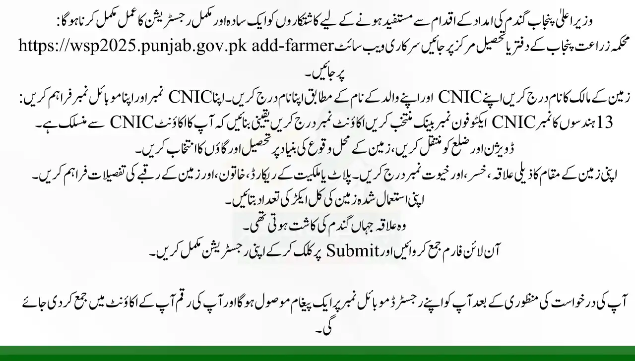 How to Apply for Punjab Wheat Support Initiative 2025