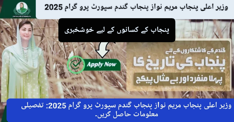Good News CM Maryam Nawaz’s Punjab Wheat Support Initiative Transforming Agriculture 2025 Apply Now