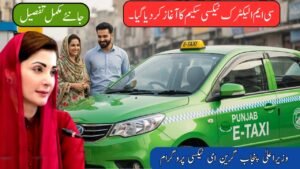 CM Punjab Green E-Taxi Program 2025