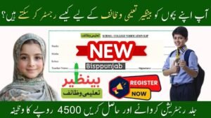 Benazir Taleemi Wazifa Program July 2025 – Full Registration Guide